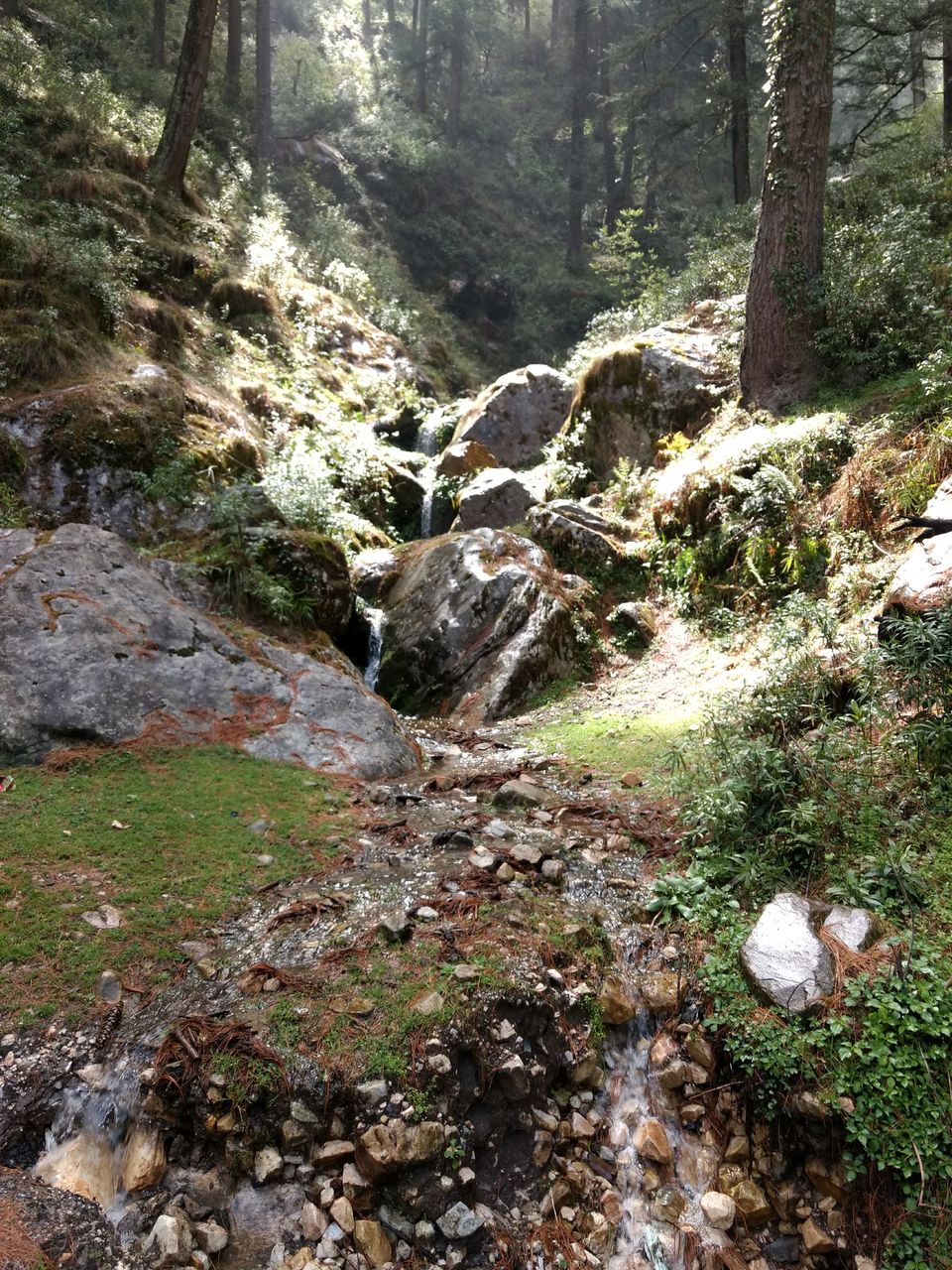 Photo of How I didn't get high but still felt high in Kasol 7/12 by vishnu nair