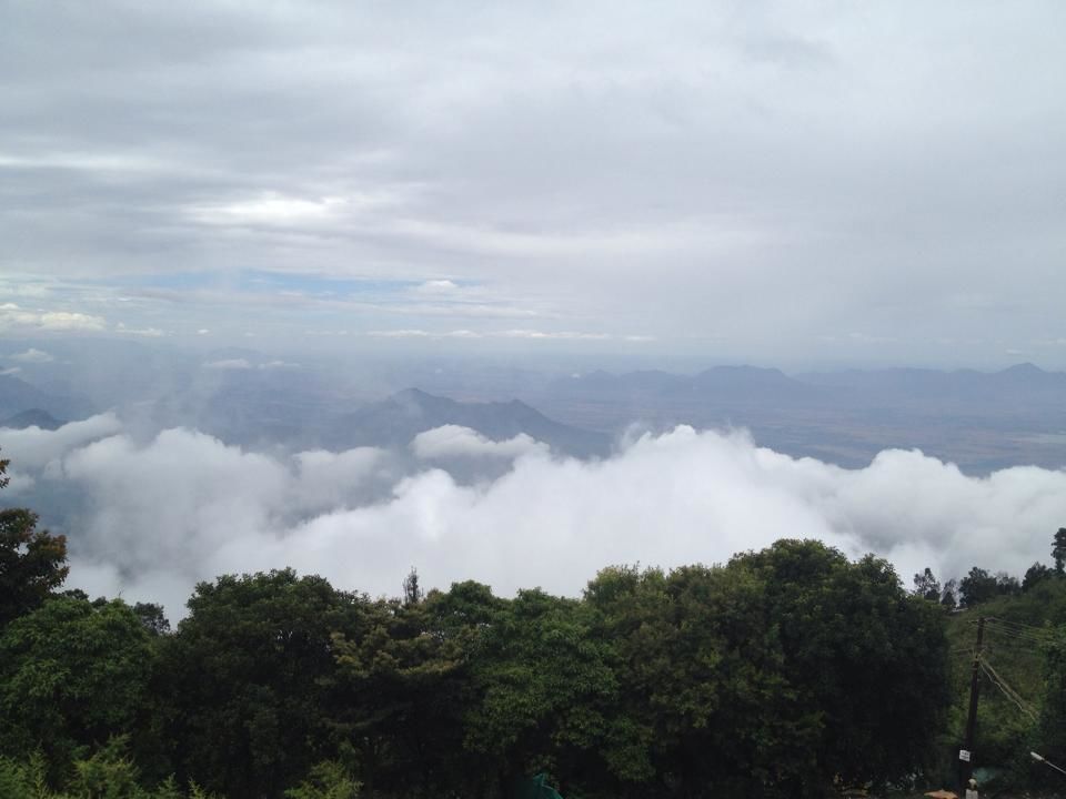 Photo of Munnar- Road to Paradise 5/19 by Shruti Sidhan