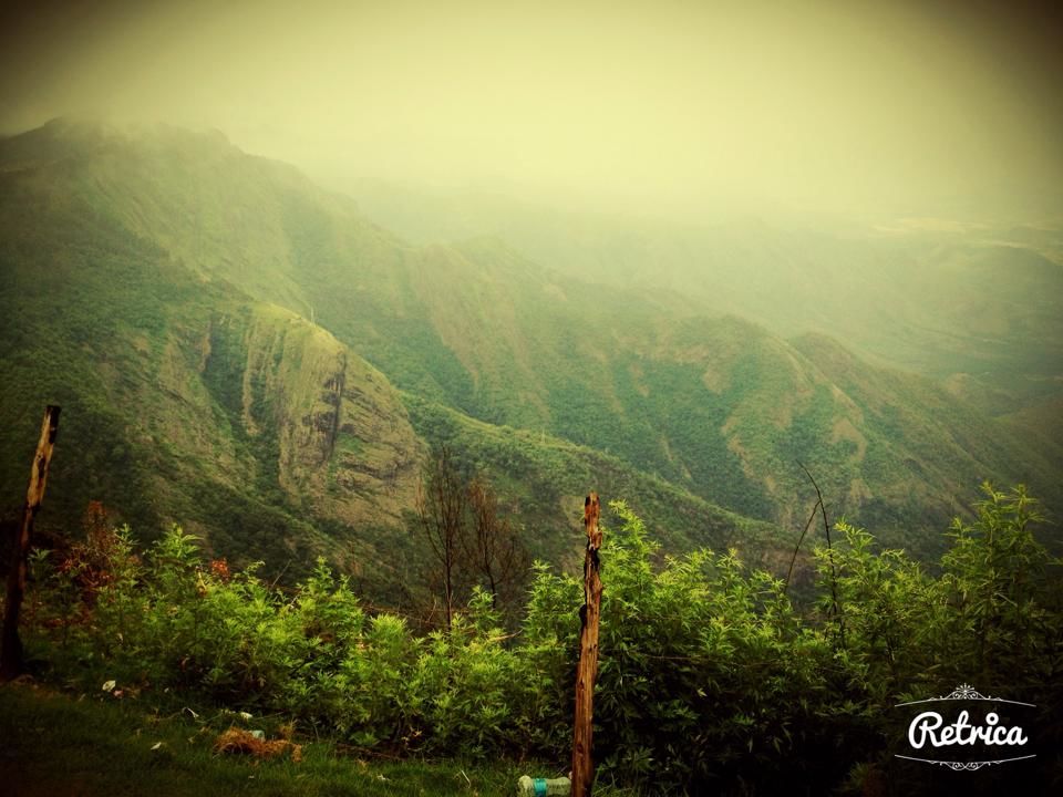 Photo of Munnar- Road to Paradise 8/19 by Shruti Sidhan