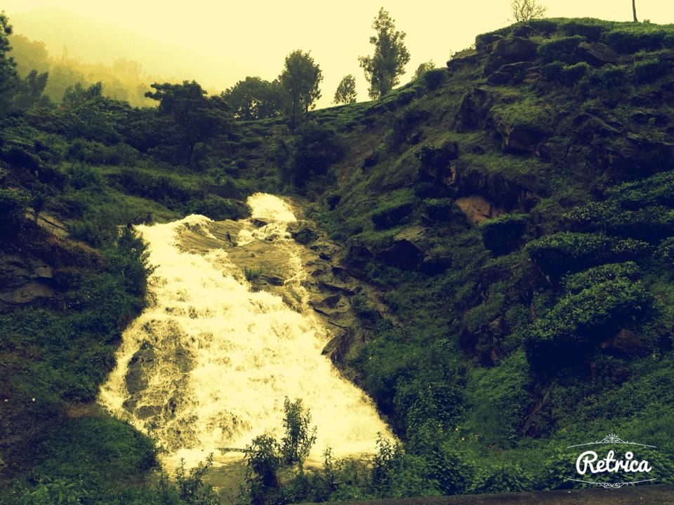 Photo of Munnar- Road to Paradise 10/19 by Shruti Sidhan