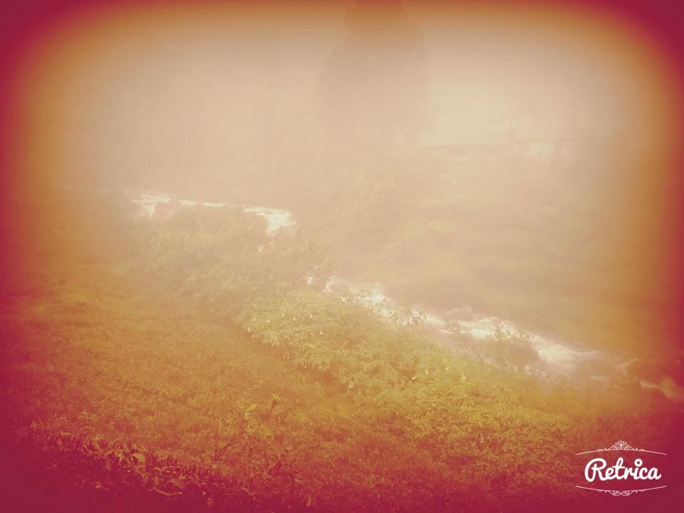 Photo of Munnar- Road to Paradise 12/19 by Shruti Sidhan