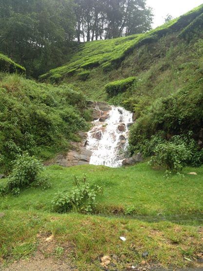 Photo of Munnar- Road to Paradise 13/19 by Shruti Sidhan