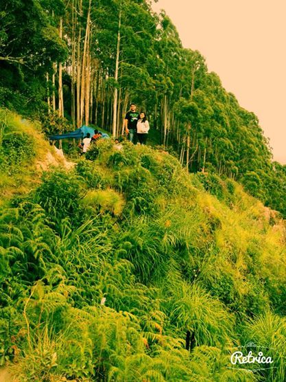 Photo of Munnar- Road to Paradise 14/19 by Shruti Sidhan