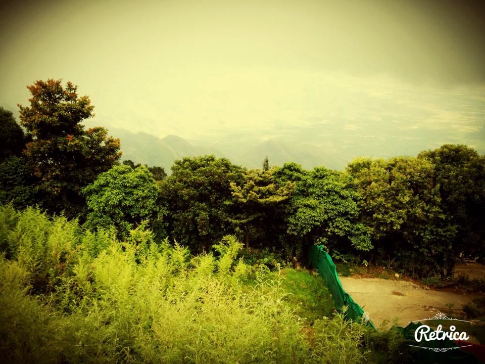 Photo of Munnar- Road to Paradise 17/19 by Shruti Sidhan