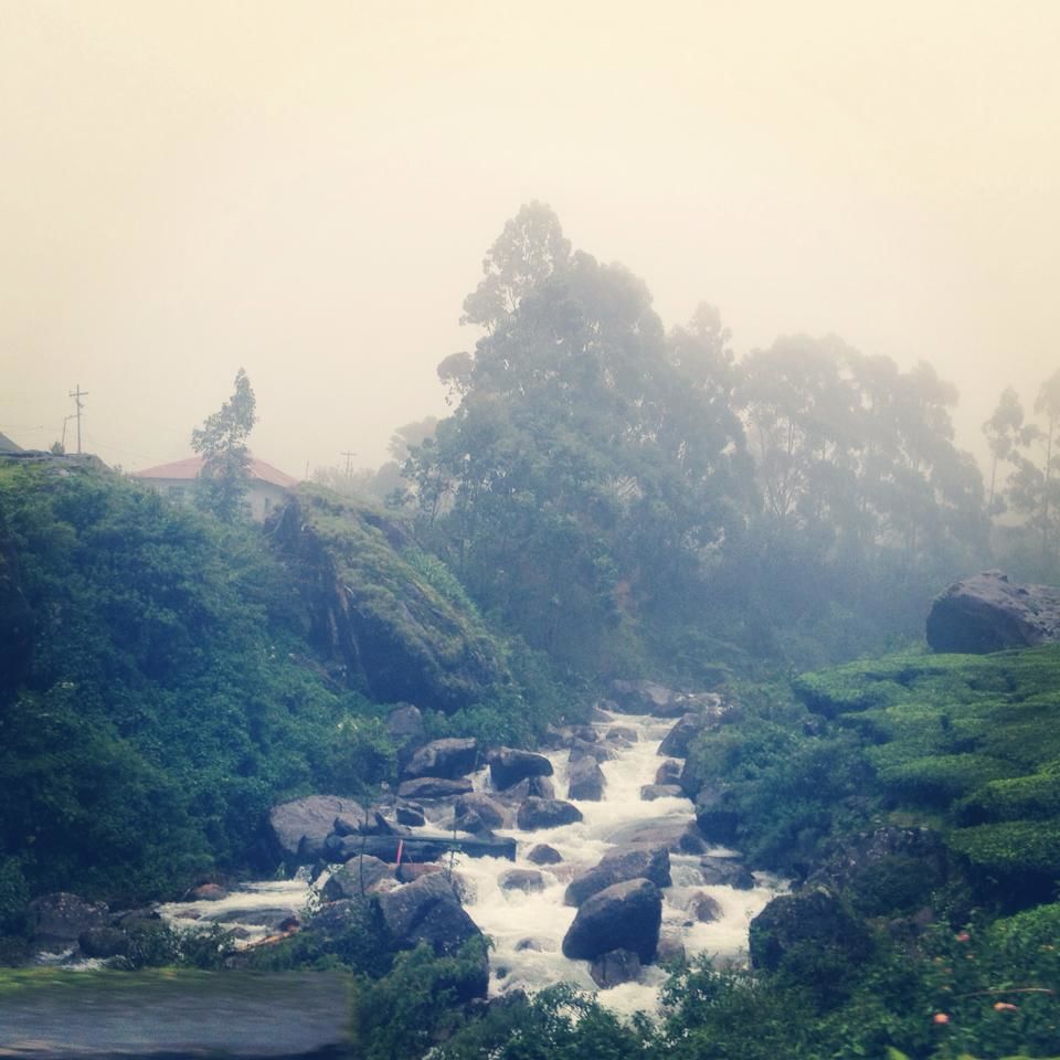 Photo of Munnar- Road to Paradise 18/19 by Shruti Sidhan
