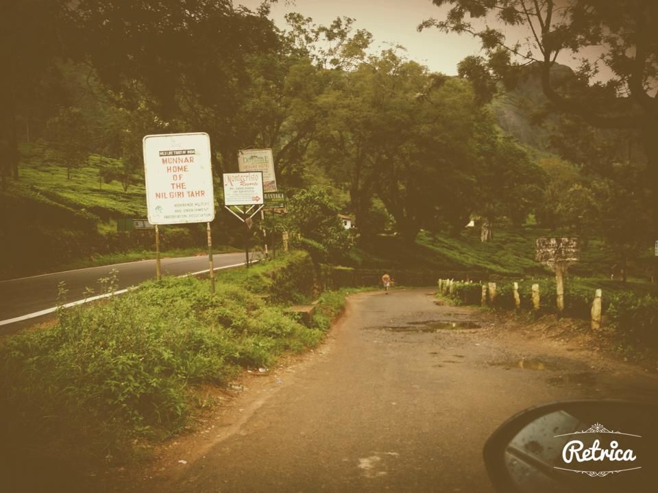 Photo of Munnar- Road to Paradise 19/19 by Shruti Sidhan