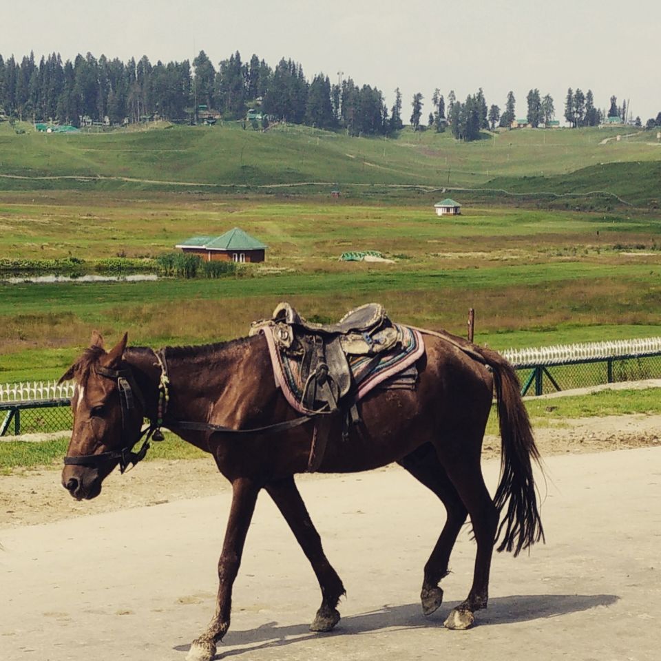 Photo of Kashmir – A traveller's dream 14/46 by Shruti Sidhan