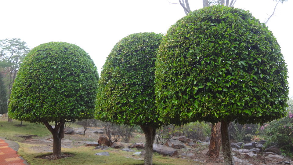 Photo of Dandami Luxury Resort, Tiratha, Chhattisgarh, India by Sneha Vashisht