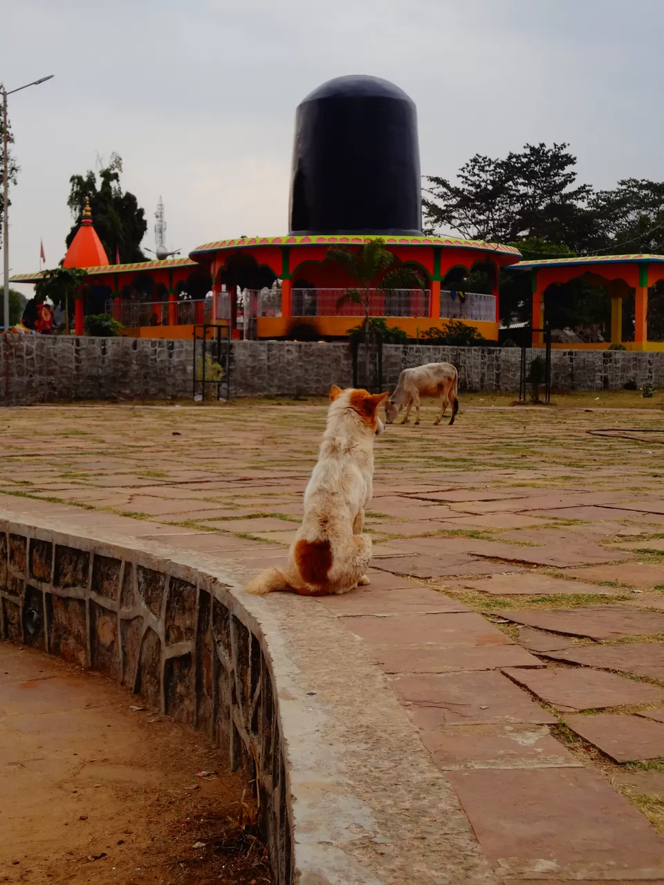 Photo of Chitrakote Waterfalls | Niagara Falls Of India, Tiratha, Chhattisgarh, India by Sneha Vashisht