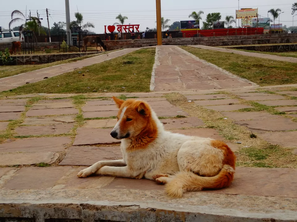 Photo of Chitrakote Waterfalls | Niagara Falls Of India, Tiratha, Chhattisgarh, India by Sneha Vashisht