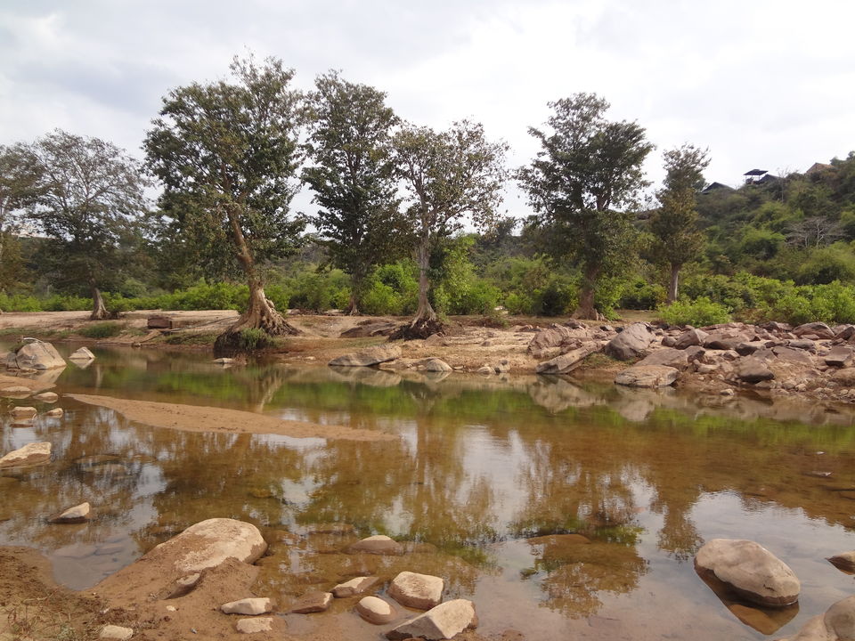 Photo of Chhattisgarh, India by Sneha Vashisht