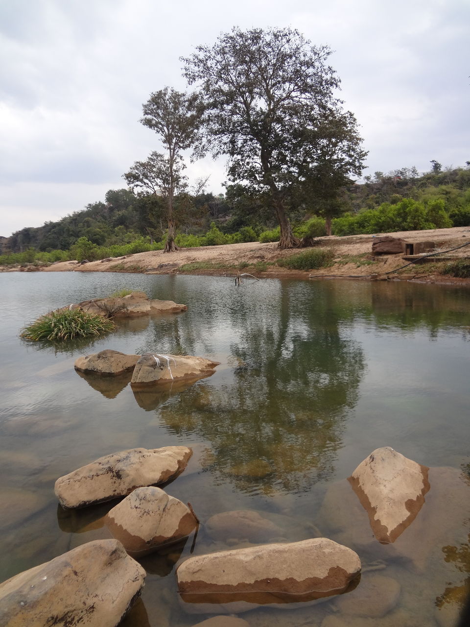 Photo of Chhattisgarh, India by Sneha Vashisht