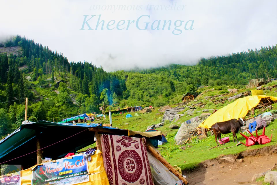 Photo of Kheerganga - Sunshine Himalayan Camp, Khir Ganga, Himachal Pradesh, India by Anonymous Traveller