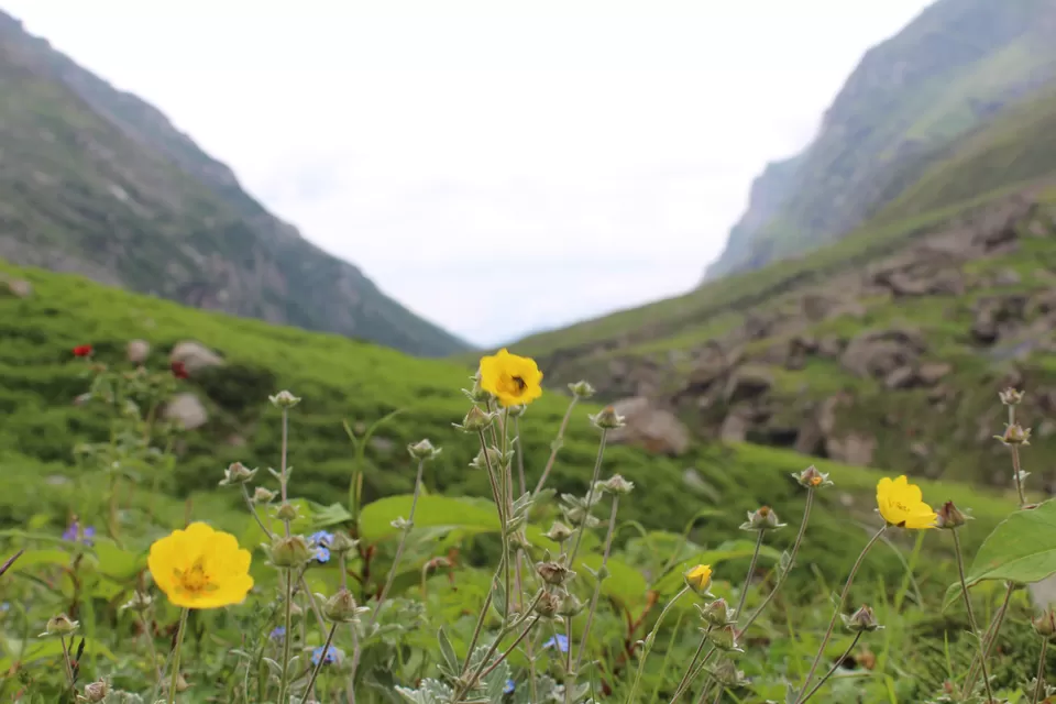 Photo of Kheerganga - Sunshine Himalayan Camp, Khir Ganga, Himachal Pradesh, India by Anonymous Traveller