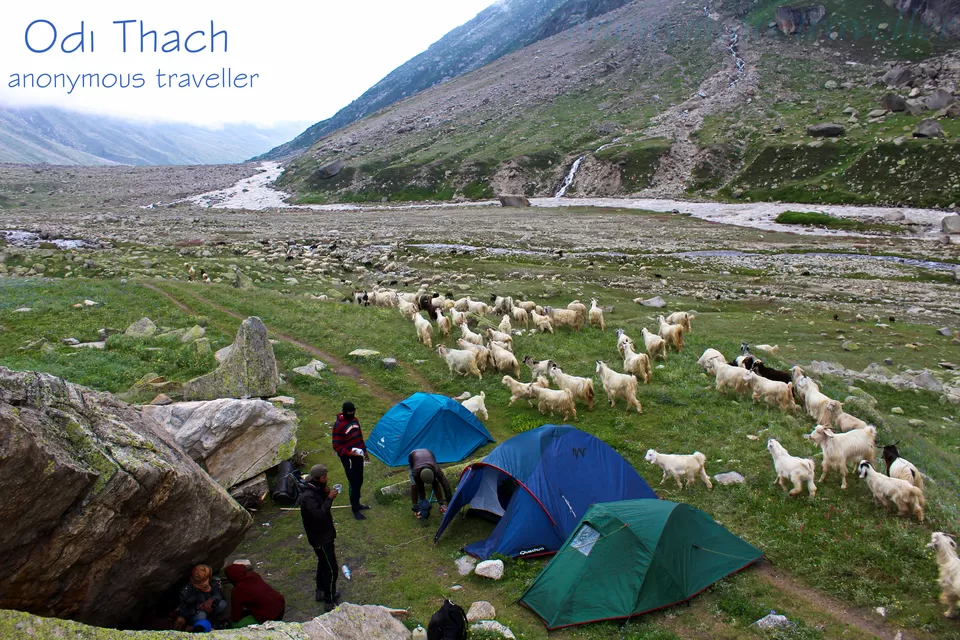 Photo of Kheerganga - Sunshine Himalayan Camp, Khir Ganga, Himachal Pradesh, India by Anonymous Traveller
