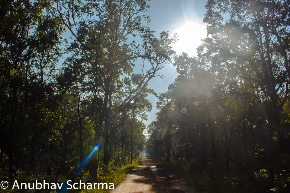 Photo of Barnawapara Wildlife Sanctuary, Barnawapara, Kasdol, Chhattisgarh, India by Anonymous Traveller