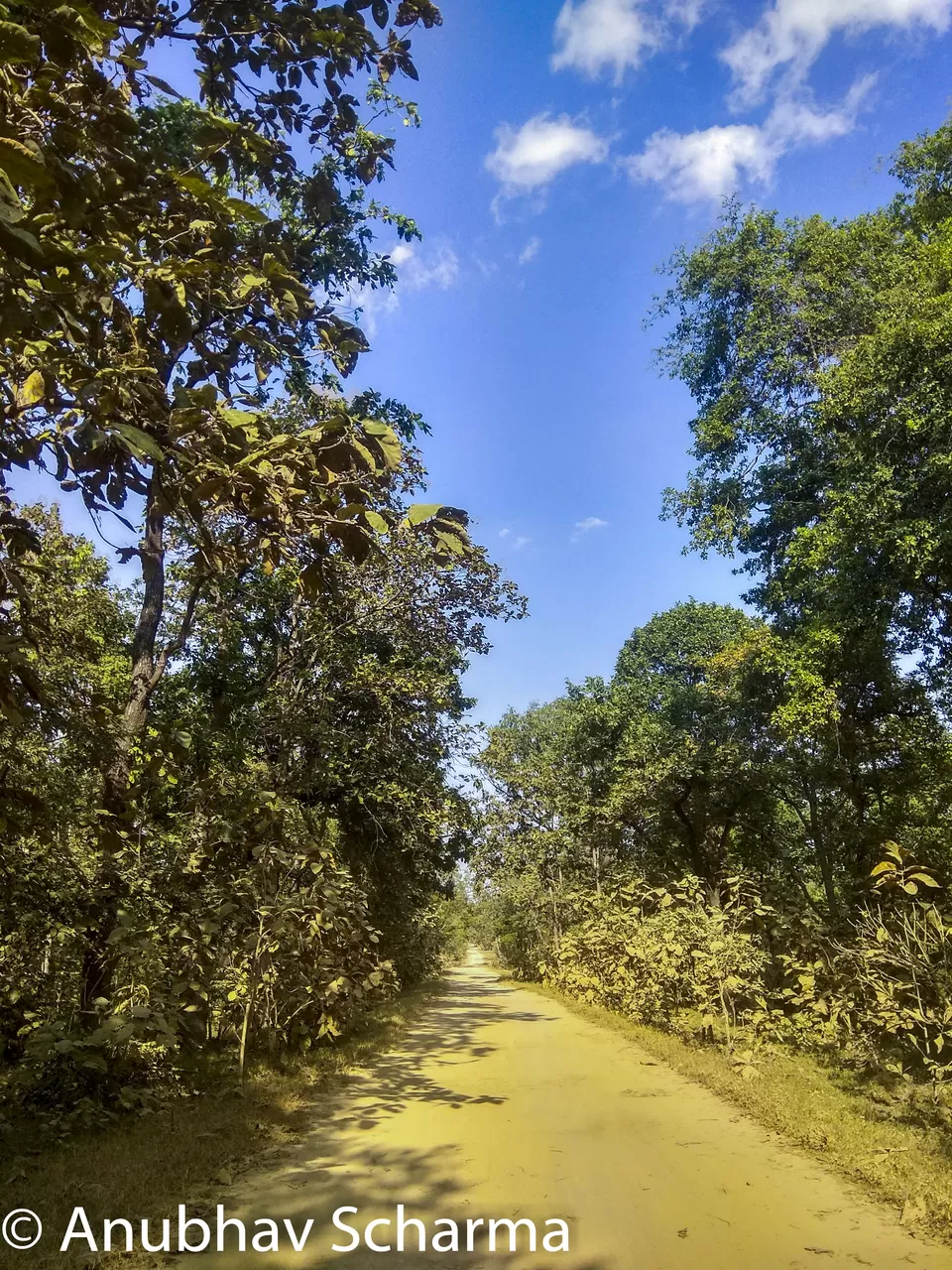 Photo of Barnawapara Wildlife Sanctuary, Barnawapara, Kasdol, Chhattisgarh, India by Anonymous Traveller