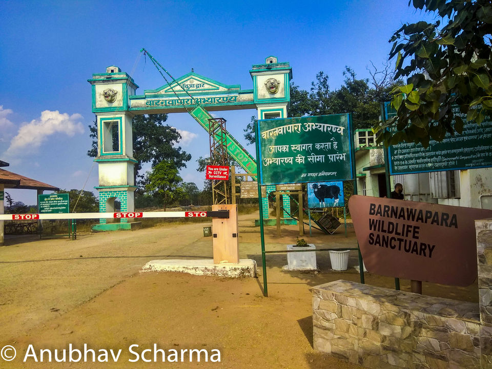 Photo of Barnawapara Wildlife Sanctuary, Barnawapara, Kasdol, Chhattisgarh, India by Anonymous Traveller