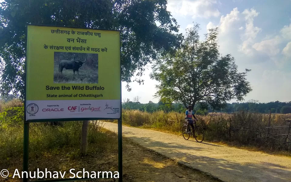 Photo of Barnawapara Wildlife Sanctuary, Barnawapara, Kasdol, Chhattisgarh, India by Anonymous Traveller