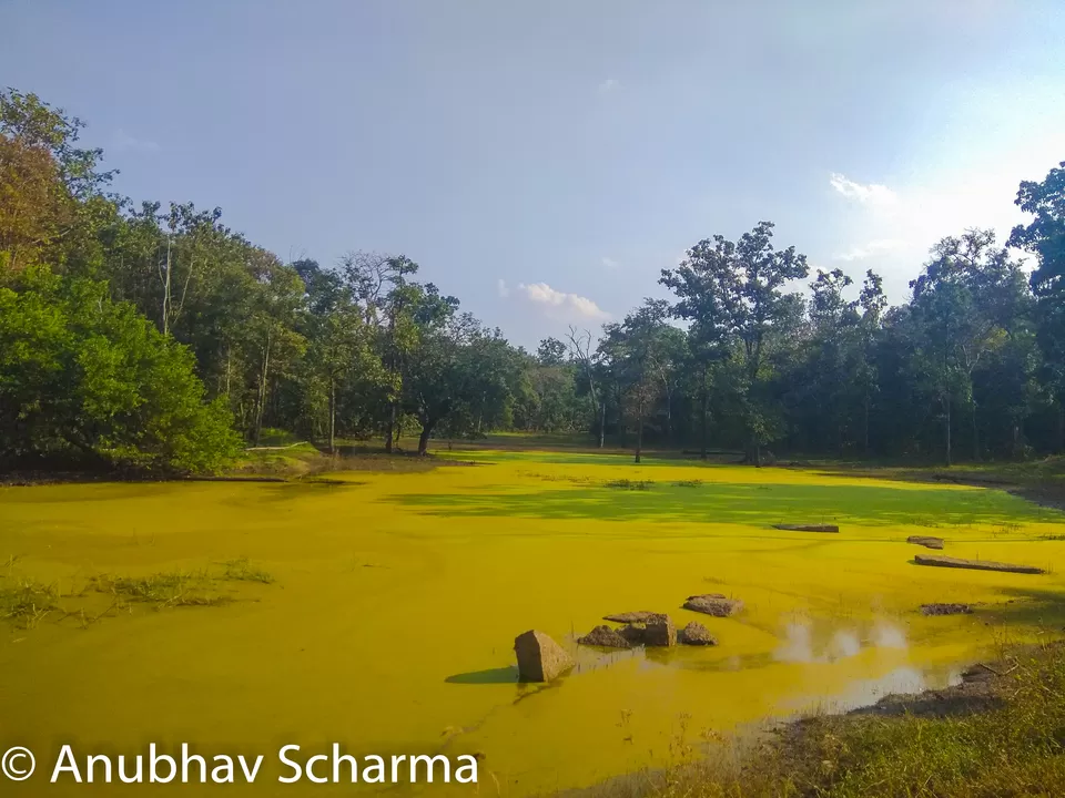 Photo of Barnawapara Wildlife Sanctuary, Barnawapara, Kasdol, Chhattisgarh, India by Anonymous Traveller
