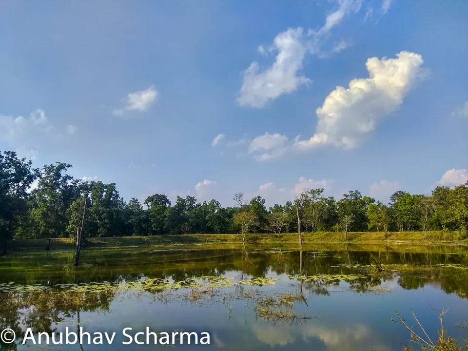 Photo of Barnawapara Wildlife Sanctuary, Barnawapara, Kasdol, Chhattisgarh, India by Anonymous Traveller