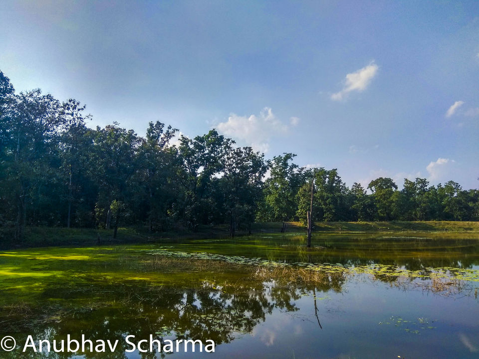 Photo of Barnawapara Wildlife Sanctuary, Barnawapara, Kasdol, Chhattisgarh, India by Anonymous Traveller