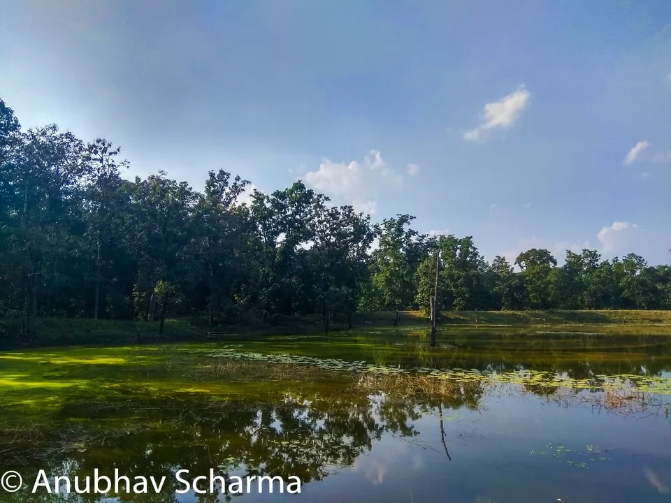 Photo of Barnawapara Wildlife Sanctuary, Barnawapara, Kasdol, Chhattisgarh, India by Anonymous Traveller