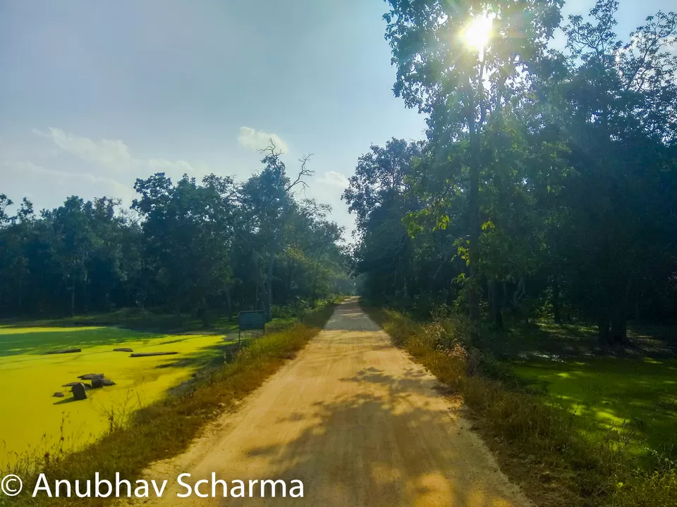 Photo of Barnawapara Wildlife Sanctuary, Barnawapara, Kasdol, Chhattisgarh, India by Anonymous Traveller