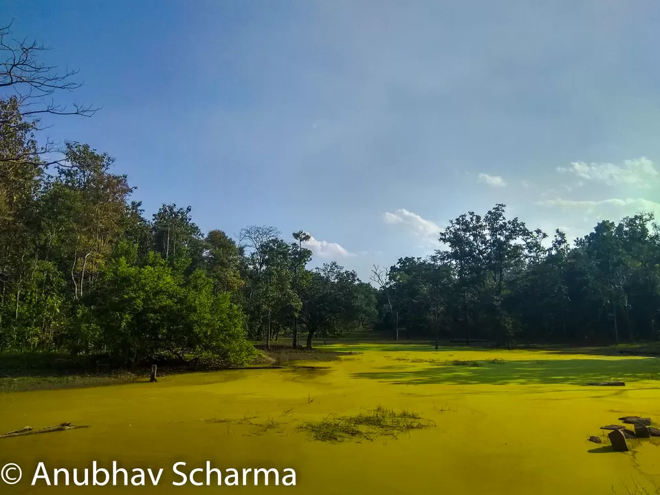 Photo of Barnawapara Wildlife Sanctuary, Barnawapara, Kasdol, Chhattisgarh, India by Anonymous Traveller