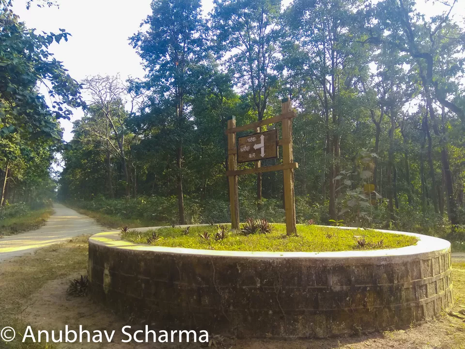 Photo of Barnawapara Wildlife Sanctuary, Barnawapara, Kasdol, Chhattisgarh, India by Anonymous Traveller
