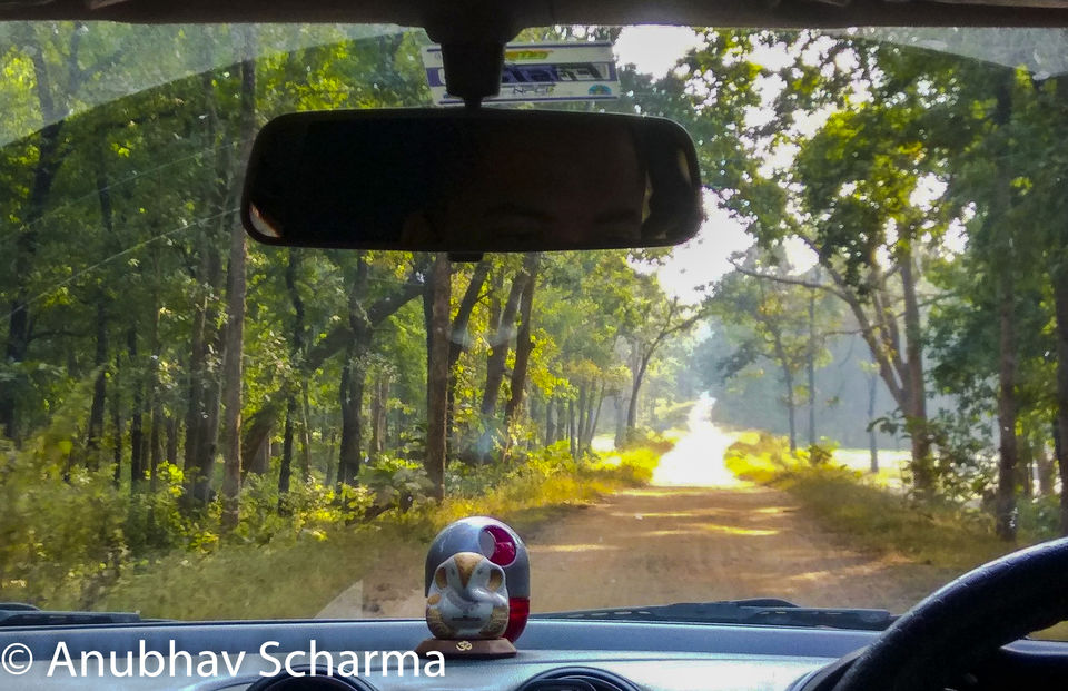 Photo of Barnawapara Wildlife Sanctuary, Barnawapara, Kasdol, Chhattisgarh, India by Anonymous Traveller