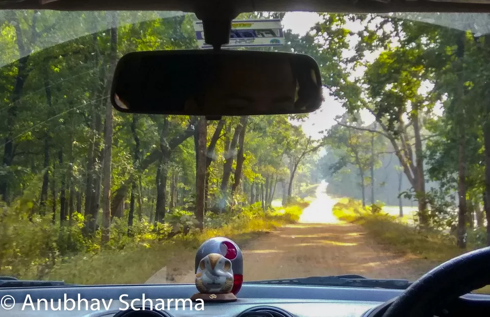 Photo of Barnawapara Wildlife Sanctuary, Barnawapara, Kasdol, Chhattisgarh, India by Anonymous Traveller
