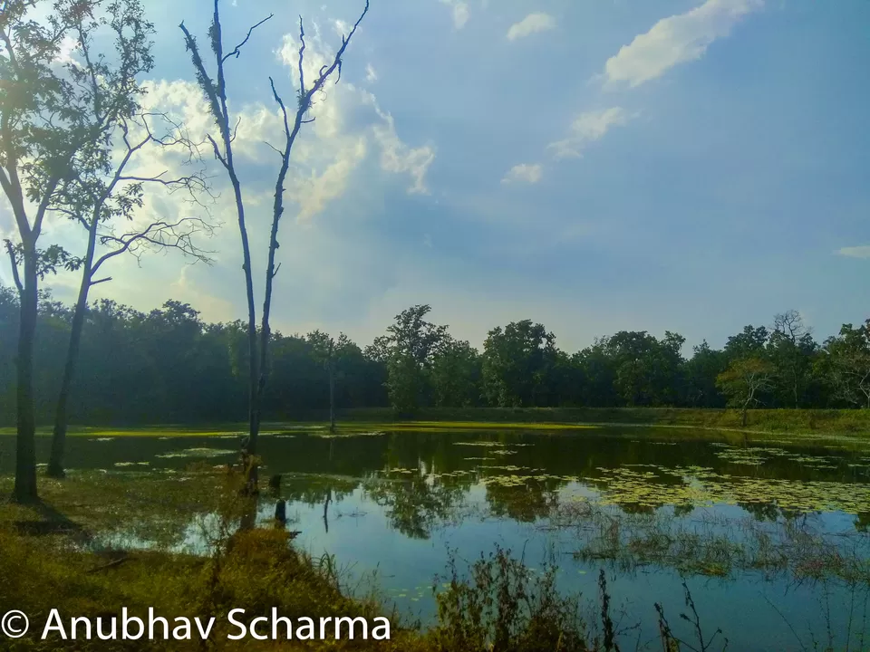 Photo of Barnawapara Wildlife Sanctuary, Barnawapara, Kasdol, Chhattisgarh, India by Anonymous Traveller