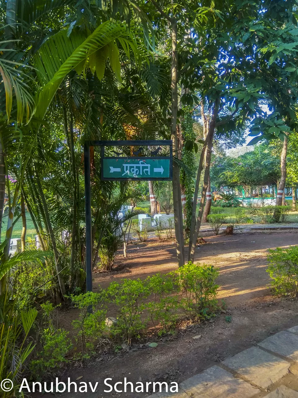 Photo of Barnawapara Wildlife Sanctuary, Barnawapara, Kasdol, Chhattisgarh, India by Anonymous Traveller