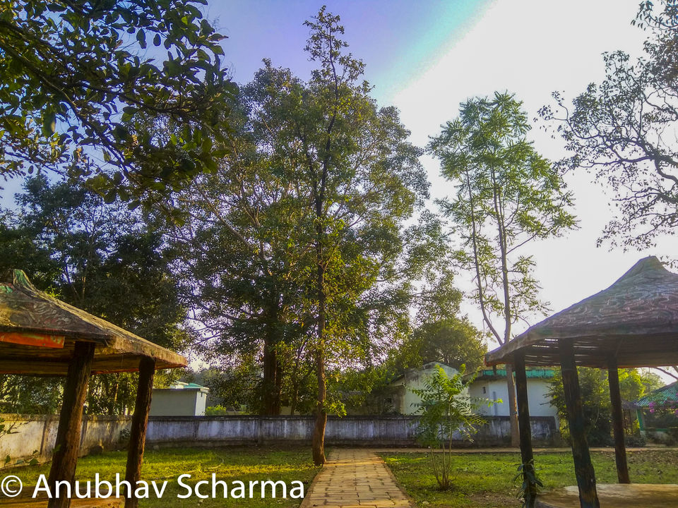 Photo of Barnawapara Wildlife Sanctuary, Barnawapara, Kasdol, Chhattisgarh, India by Anonymous Traveller