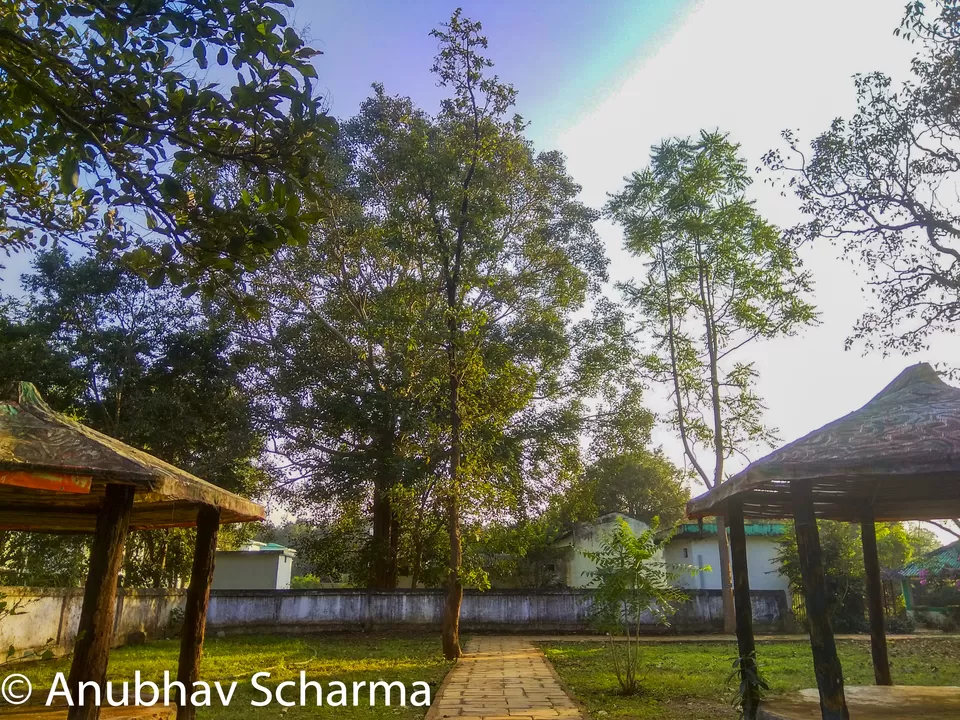 Photo of Barnawapara Wildlife Sanctuary, Barnawapara, Kasdol, Chhattisgarh, India by Anonymous Traveller