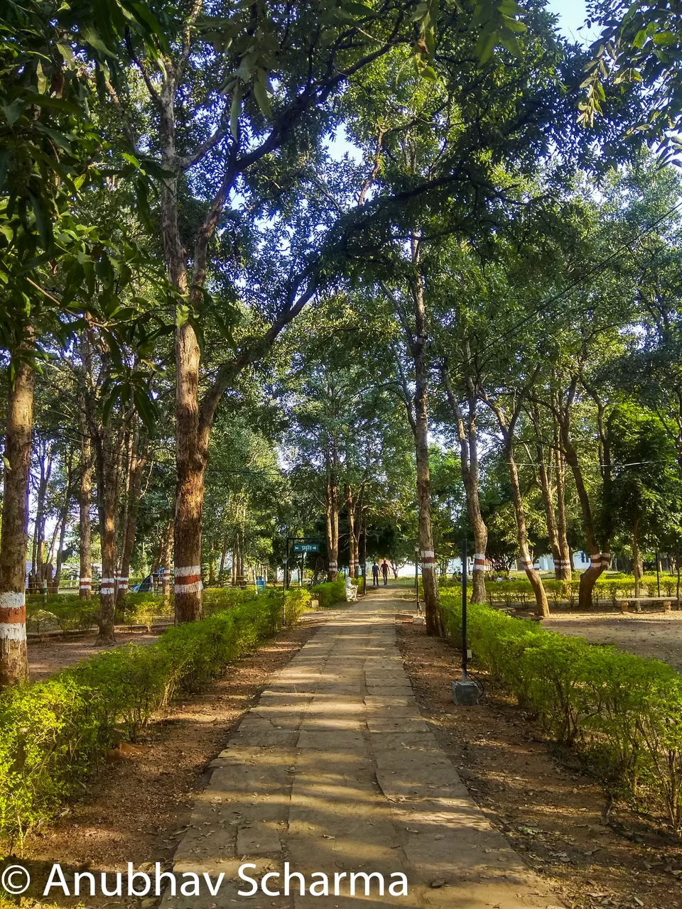 Photo of Barnawapara Wildlife Sanctuary, Barnawapara, Kasdol, Chhattisgarh, India by Anonymous Traveller