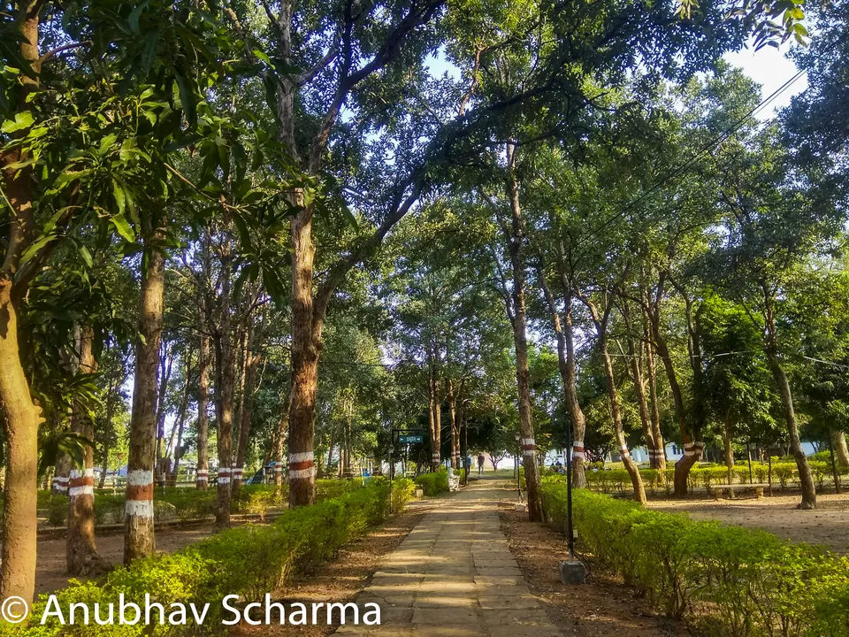 Photo of Barnawapara Wildlife Sanctuary, Barnawapara, Kasdol, Chhattisgarh, India by Anonymous Traveller