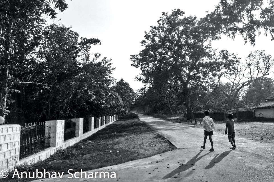 Photo of Barnawapara Wildlife Sanctuary, Barnawapara, Kasdol, Chhattisgarh, India by Anonymous Traveller