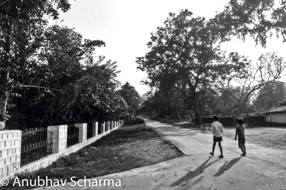 Photo of Barnawapara Wildlife Sanctuary, Barnawapara, Kasdol, Chhattisgarh, India by Anonymous Traveller