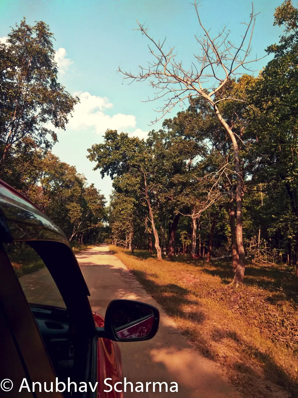Photo of Barnawapara Wildlife Sanctuary, Barnawapara, Kasdol, Chhattisgarh, India by Anonymous Traveller