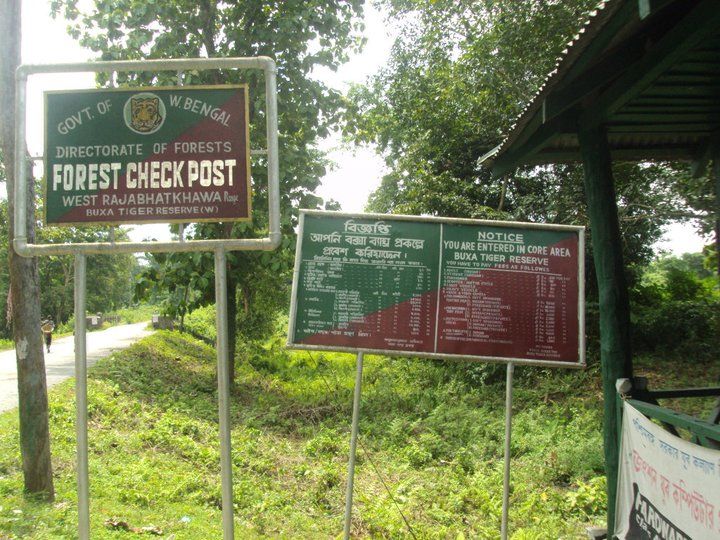 Photo of Trip to Buxa Tiger Reserve 3/42 by Nabakumar Das