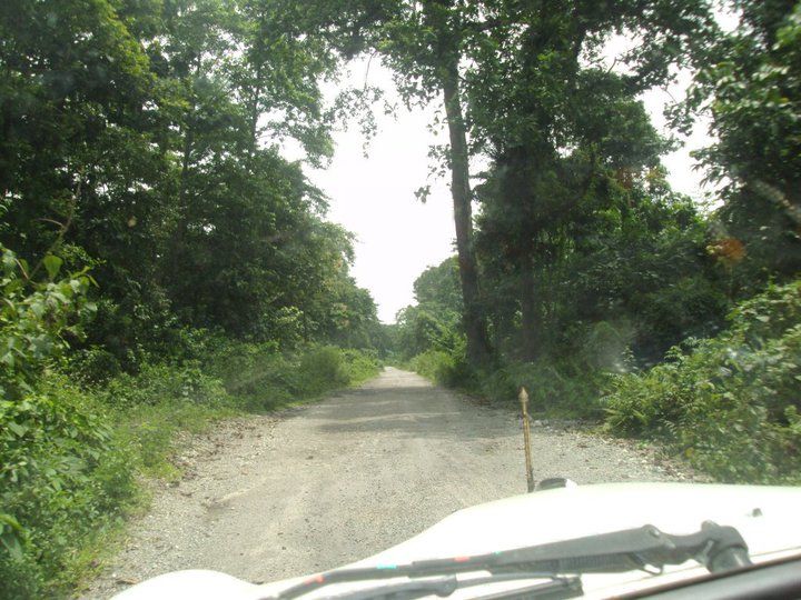 Photo of Trip to Buxa Tiger Reserve 5/42 by Nabakumar Das