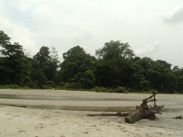 Photo of Trip to Buxa Tiger Reserve 6/42 by Nabakumar Das