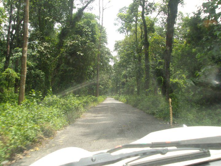Photo of Trip to Buxa Tiger Reserve 7/42 by Nabakumar Das