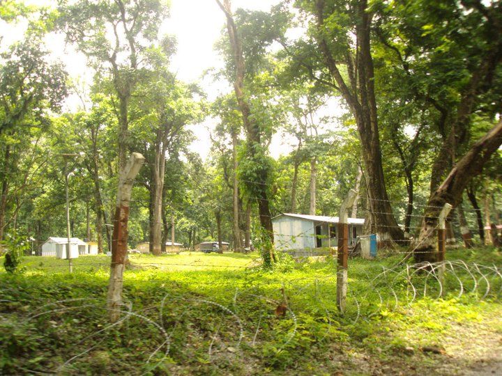 Photo of Trip to Buxa Tiger Reserve 13/42 by Nabakumar Das