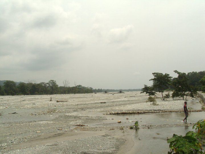 Photo of Trip to Buxa Tiger Reserve 14/42 by Nabakumar Das