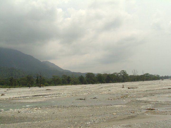 Photo of Trip to Buxa Tiger Reserve 16/42 by Nabakumar Das