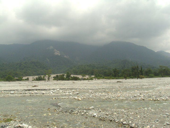 Photo of Trip to Buxa Tiger Reserve 17/42 by Nabakumar Das