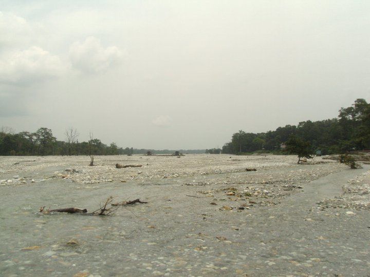 Photo of Trip to Buxa Tiger Reserve 18/42 by Nabakumar Das